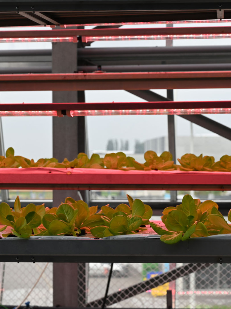 verticalfarmingtoren