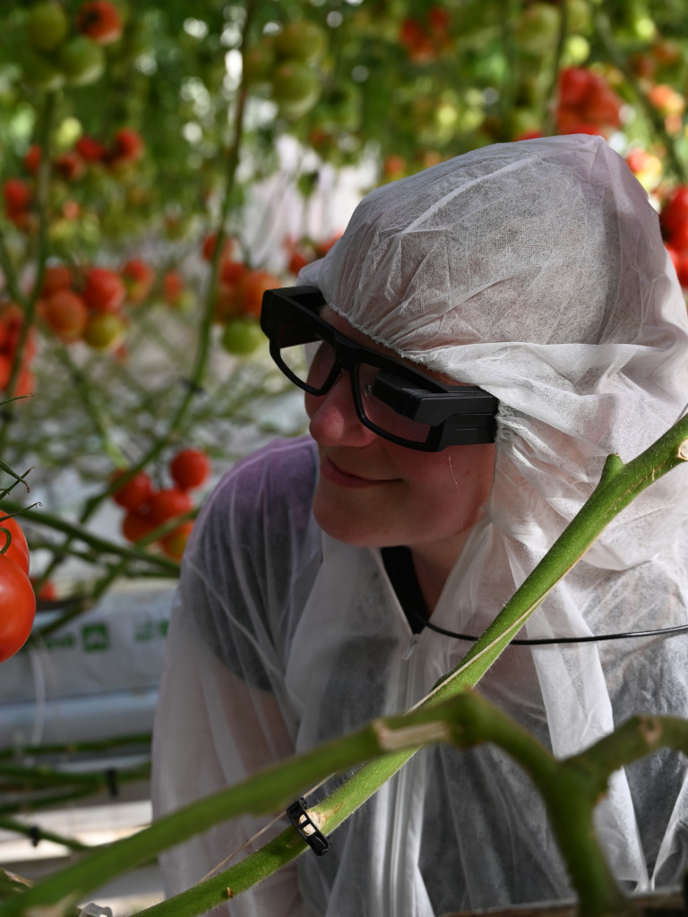 Smart glasses virtuele bril harvest aid