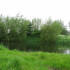 Bomen en struiken zorgen voor een ideale afwisseling van zon en schaduw in het water en bieden schuilgelegenheid uit het water gedurende de winter.