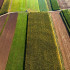Colorful countryside fields