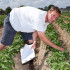 Quality control potato fields