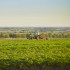 Landbouwlandschap