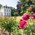 Kasteel 't Hooghe buiten