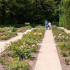 Rozenproeftuin