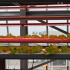 verticalfarmingtoren