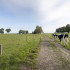 Inagro_Oedelem_Johan_Claeys-17
