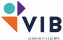 VIB - logo