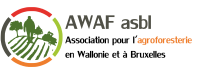 AWAF logo