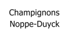 champi_noppe