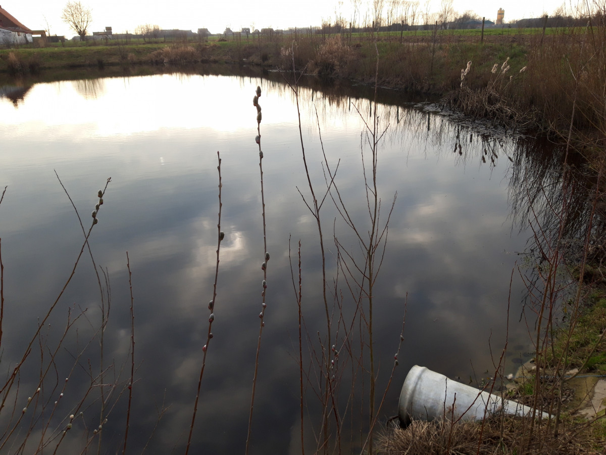Open waterput in verbinding met de waterloop