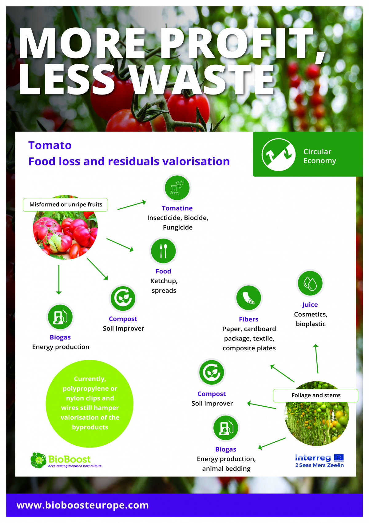 Valorisatiemogelijkheden van tomatenloof