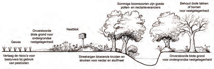 Nestgelegenheid