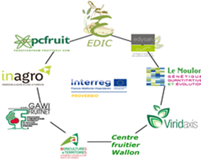 interreg proverbio logocirkel