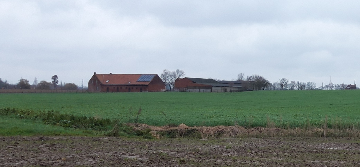Dal in het veld
