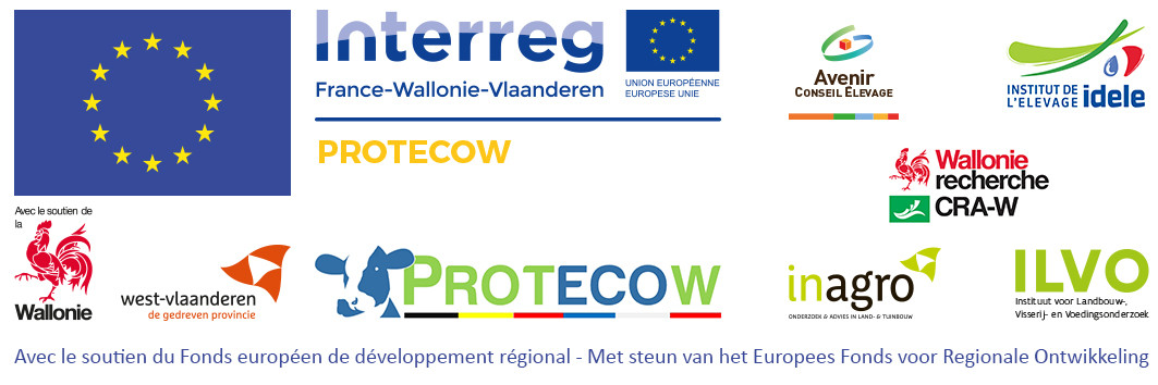 Banner Protecow