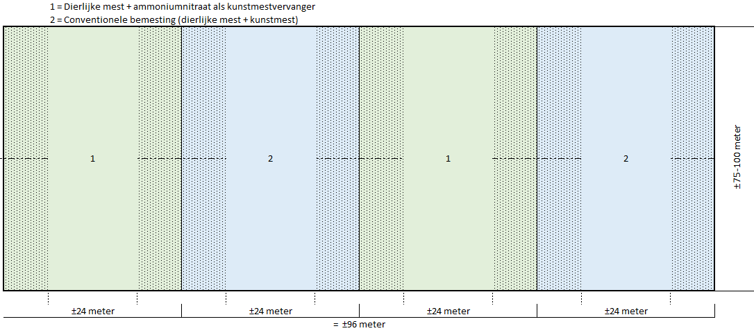 Schematische voorstelling van de proefopzet in verschillende stroken met verschillende behandelingen