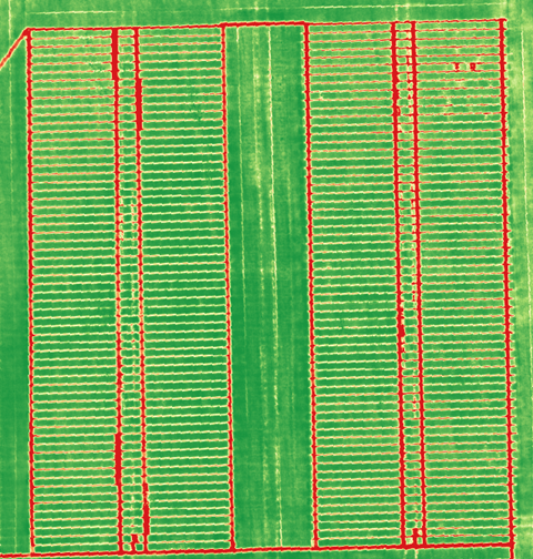 Dronebeeld van vele kleine proefveldjes