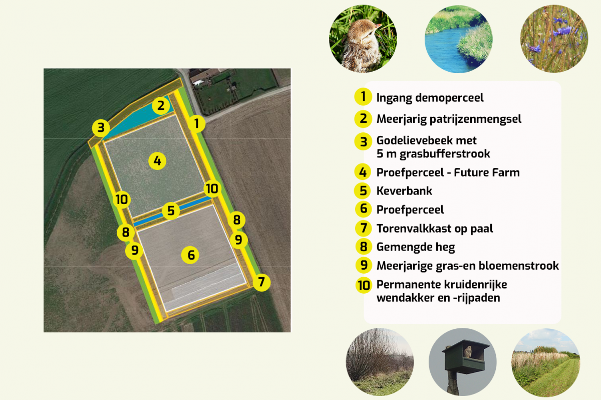 Demoperceel agronatuur