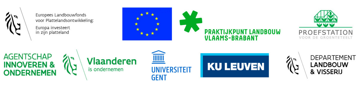 Logobanner studieavond witloof 2023
