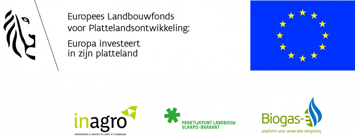 Logo ChicoryRePowered