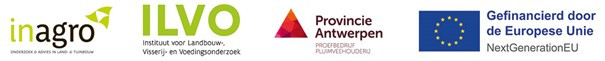 logobanner iiae