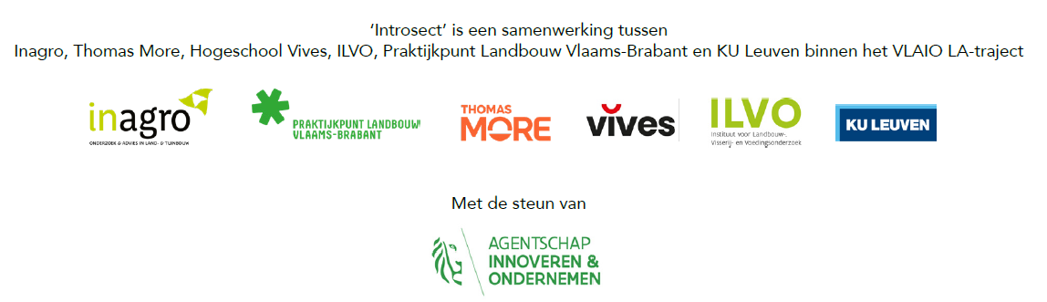 Banner Introsect