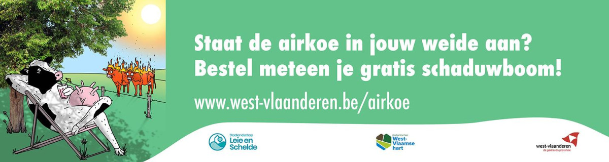 Banner airkoe