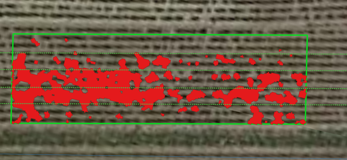 Detectie onkruid