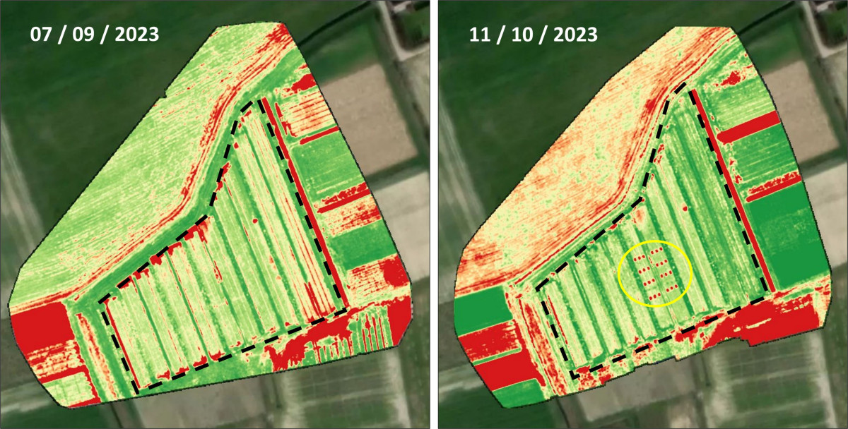 NDVI bepaling prei 2023 agroforestryperceel