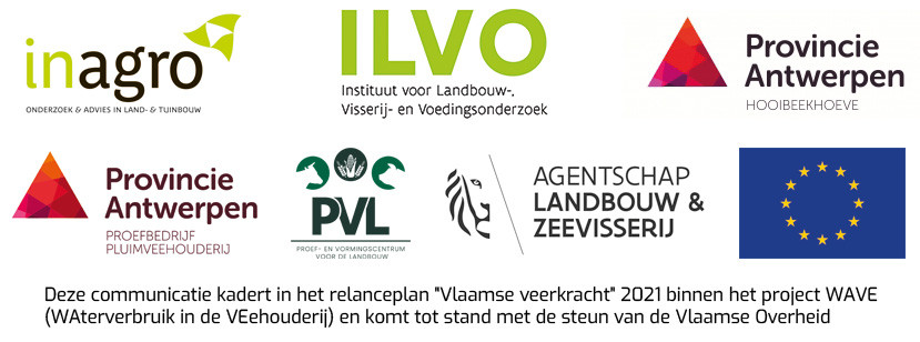 Logobanner WAVE
