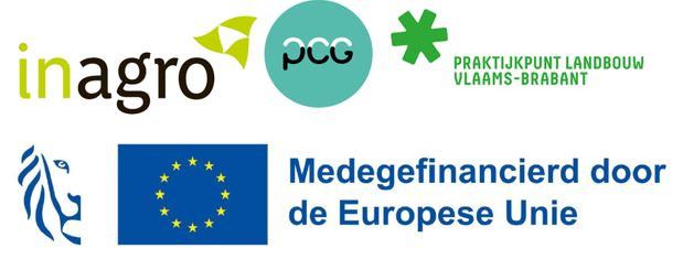 Logobanner KIEM