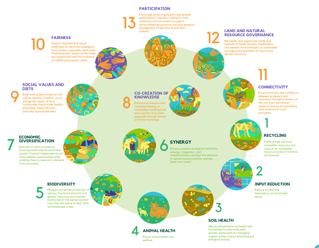 13 principes van agroecologie.png