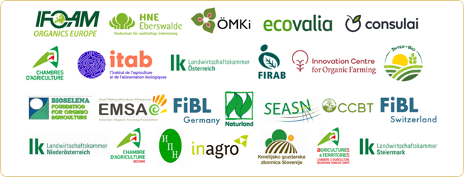 partners european advice network project