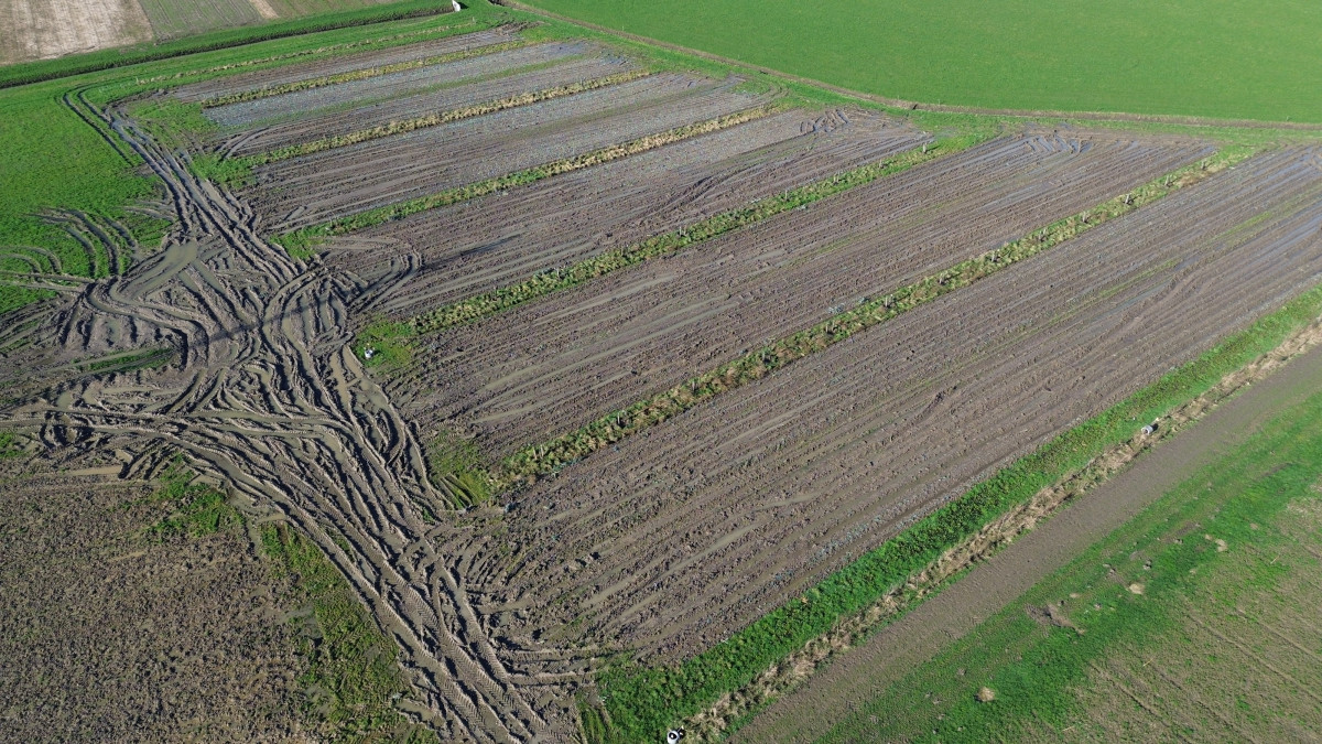 Dronebeeld toont structuurschade na oogst prei op AF perceel
