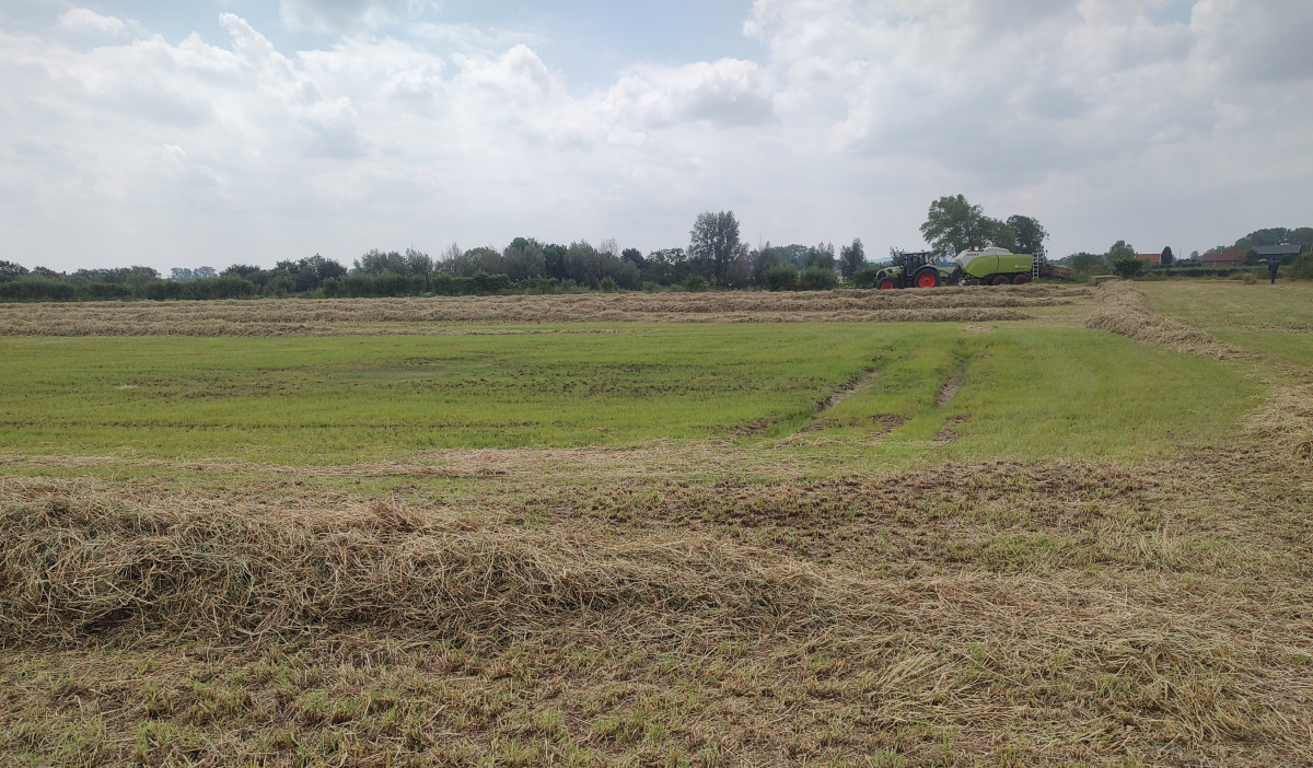 Foto van natte plek op het veld
