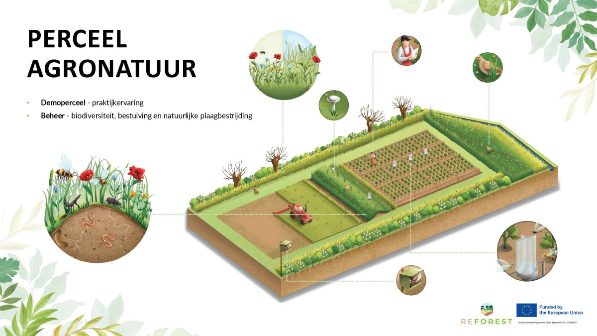 Infobord demoperceel agronatuur van Inagro