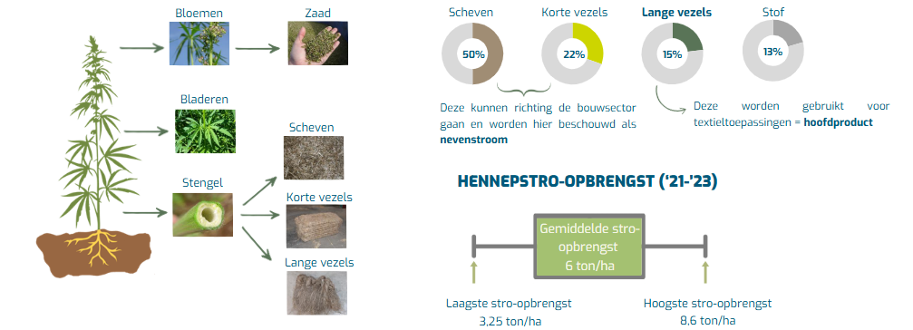 hennep levert op
