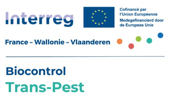 Trans-Pest logo