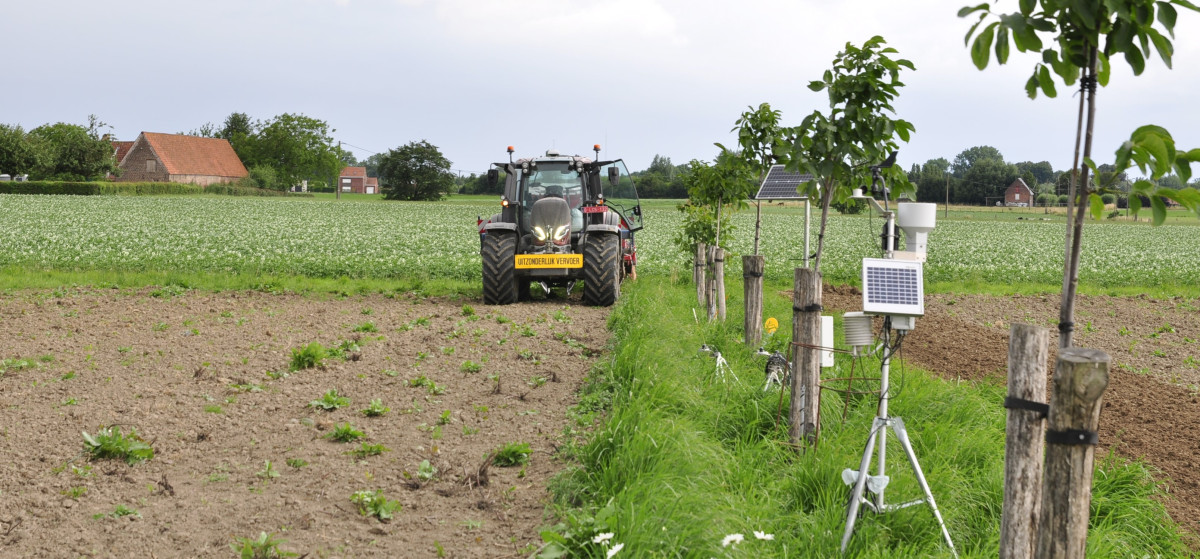 Gras zaaien langs de bomenrij