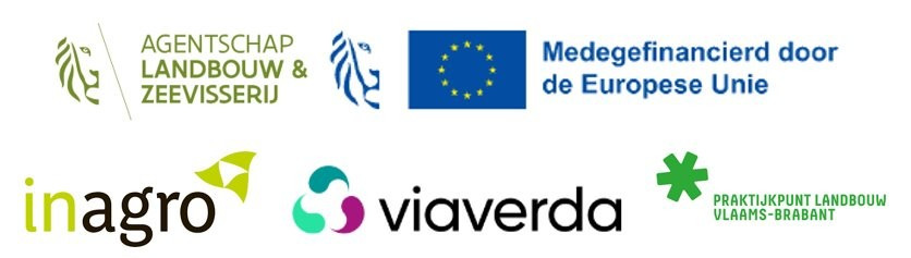 Logobanner KIEM