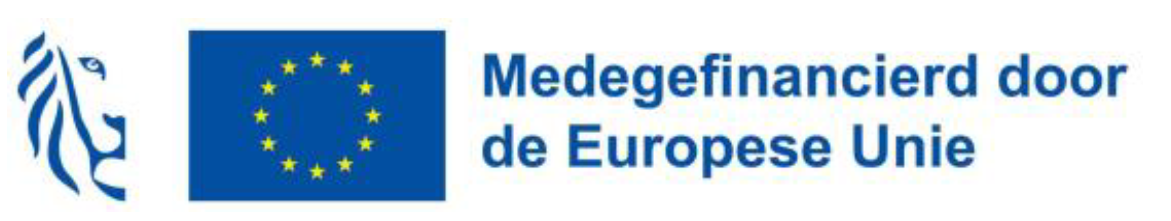 Logo Boer Bricoleur