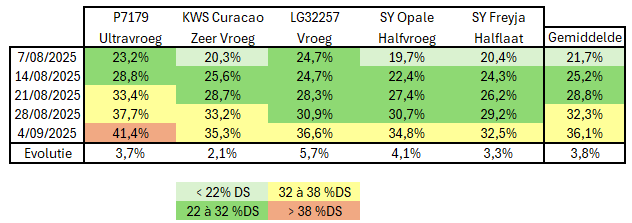 Afrijping mais 04/09/2025