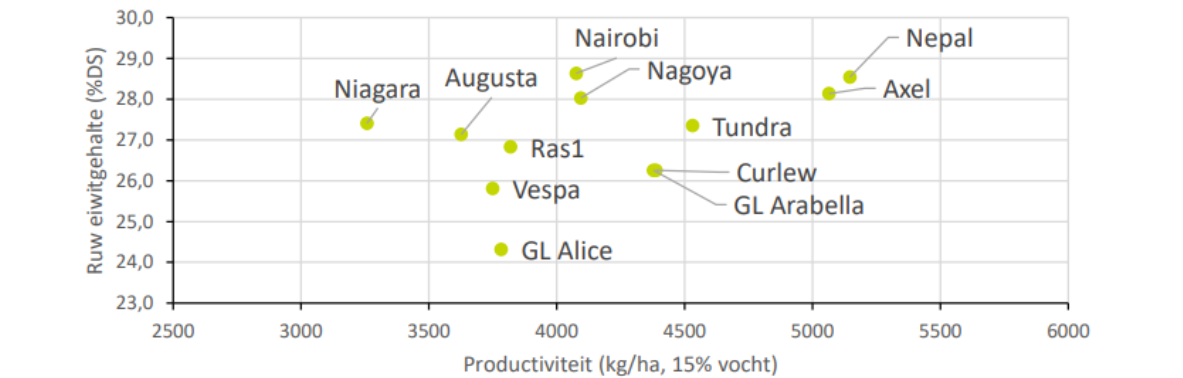 Figuur 7 Gemiddeld ruw eiwitgehalte i.f.v. de gemiddelde veldboonopbrengst per ras