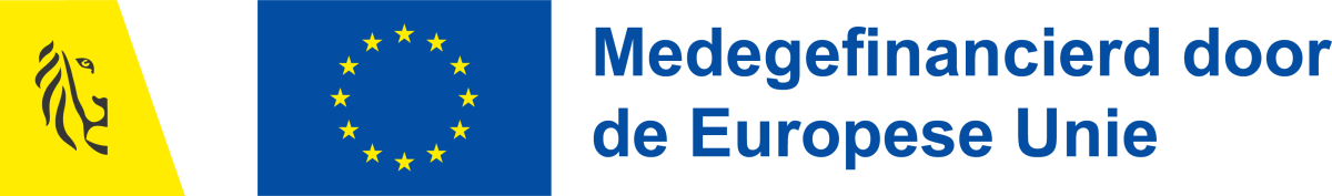 Logobanner VAP