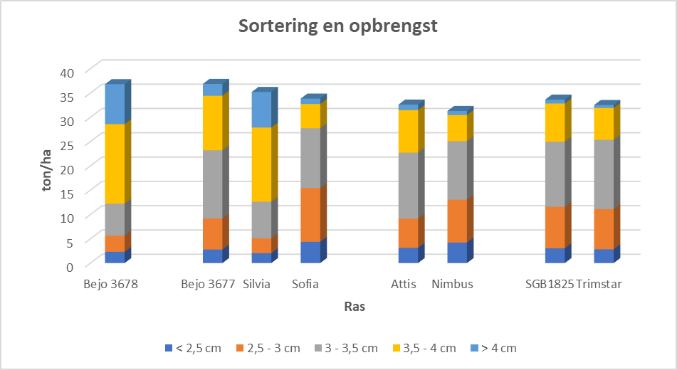 spruitkool rassen 2025