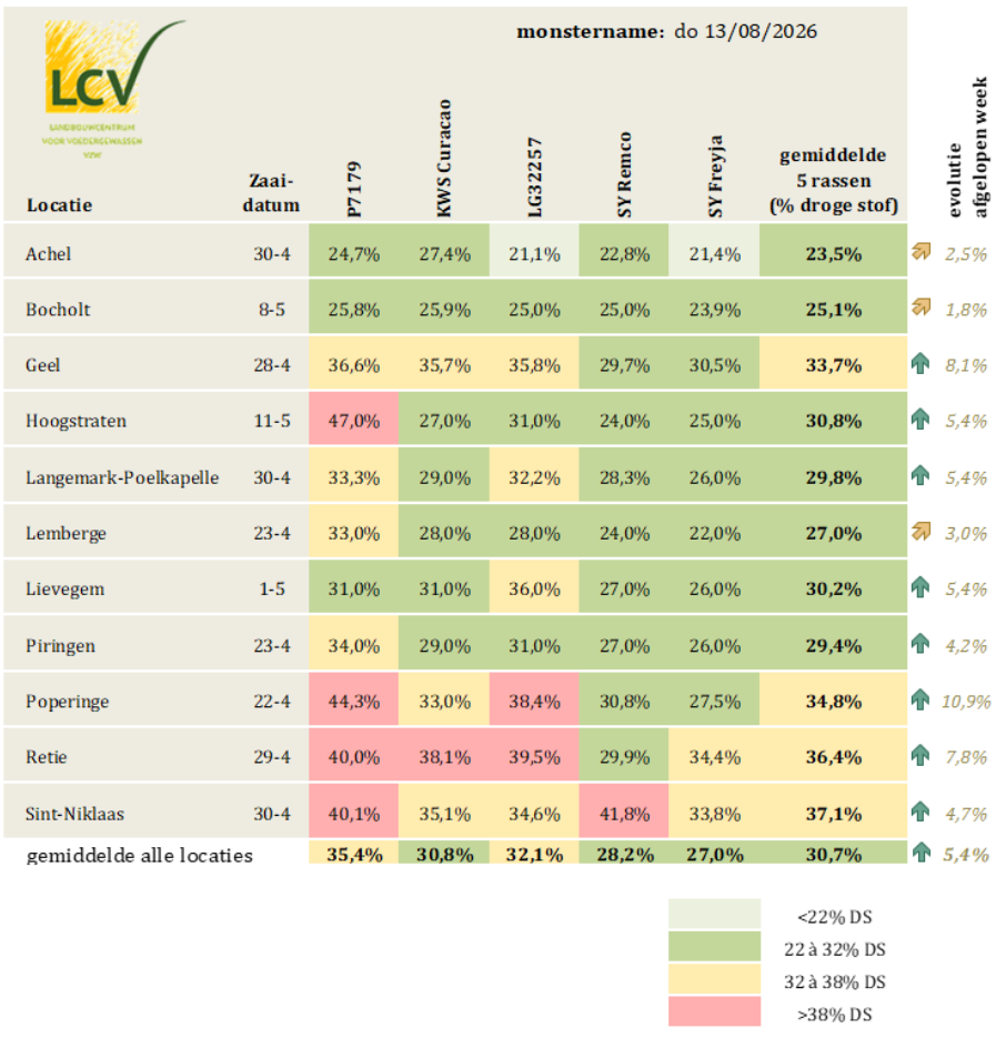 Evolutie afrijping mais LCV 13 augustus 2026