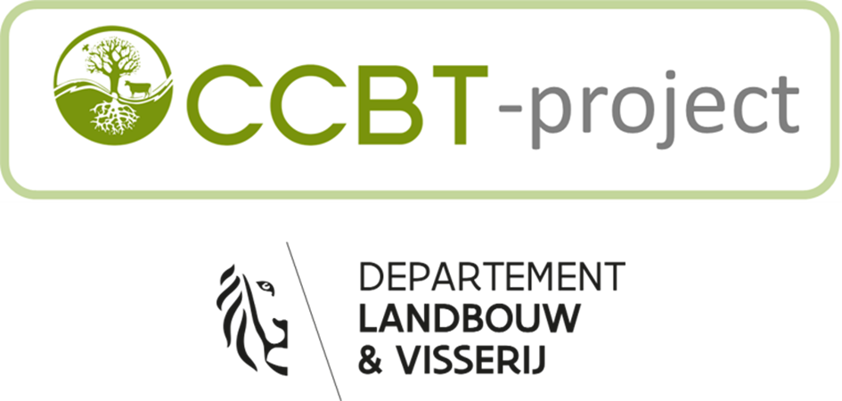 ccbtproject