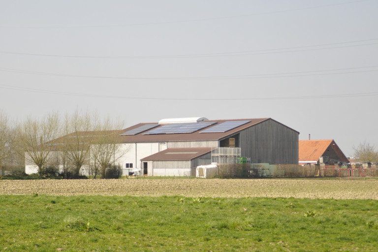 Zonnepanelen voor eigen energie-opwekking