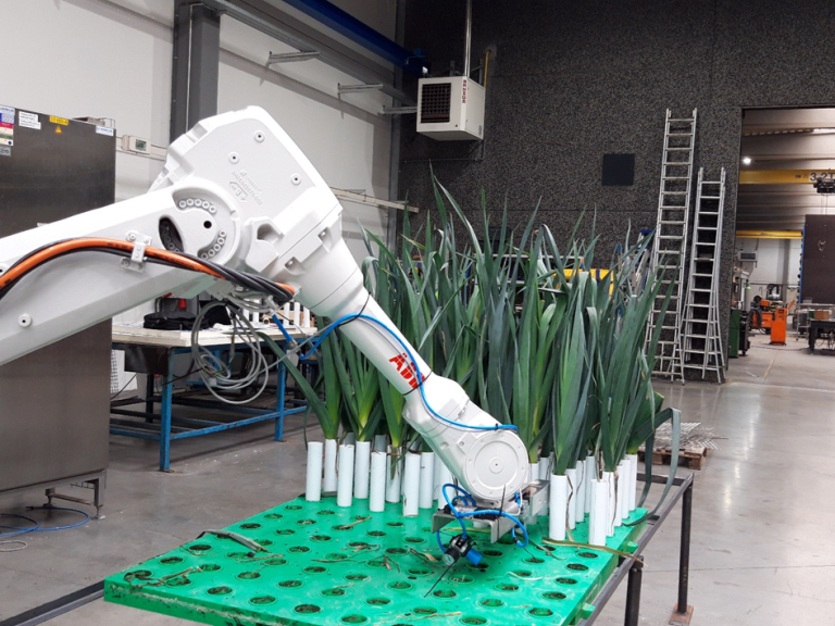 Automatisatie prei op dragers