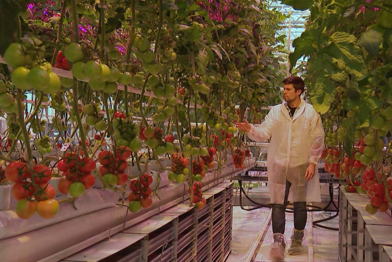 Agrotopia op PlattelandsTv